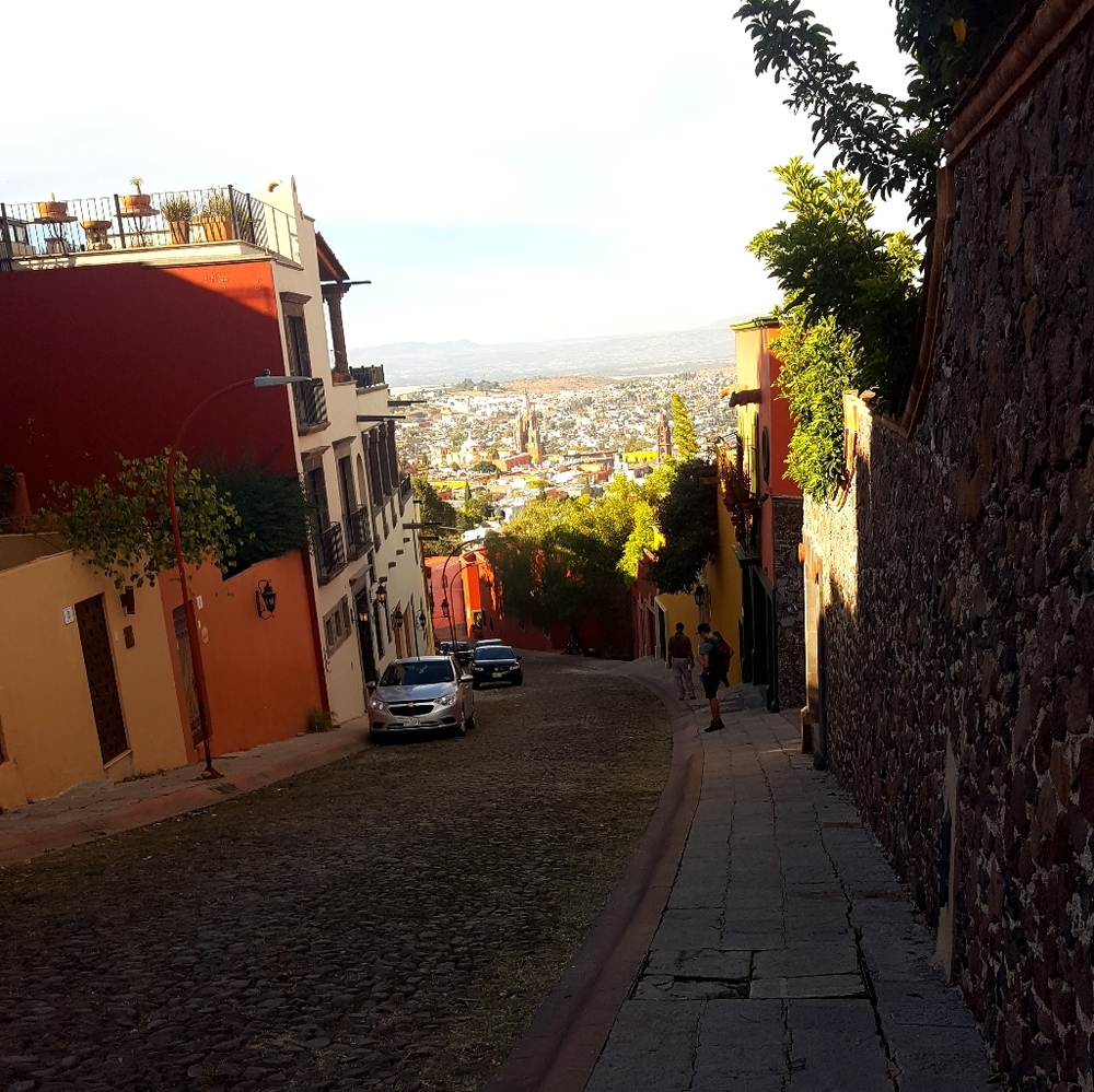 Meet your Posher, Elena